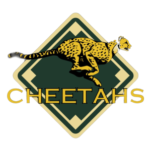Cheetahs