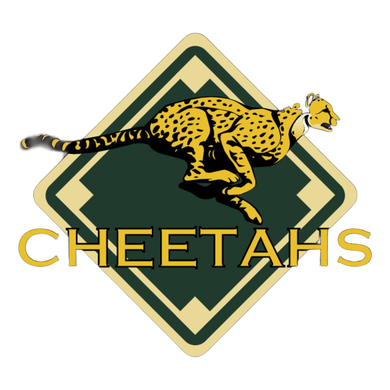 Cheetahs